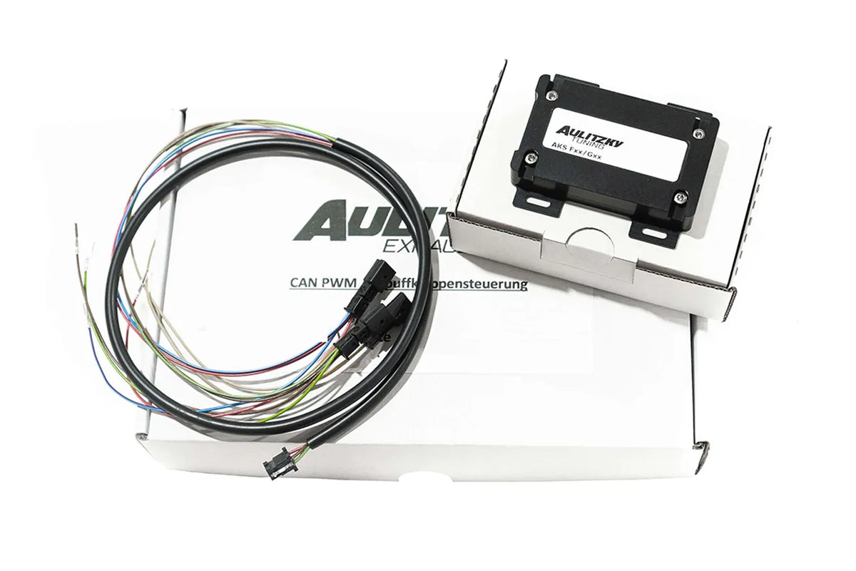 Aulitzky Exhaust ECE Abgasanlage mit Klappensteuerung | Passend für BMW M135i F40 B48