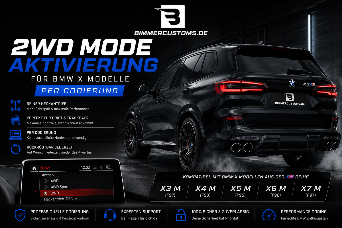 2WD Mode Aktivierung Freischaltung für BMW X Modelle – Per Codierung