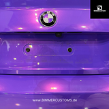 BIMMERCUSTOMS – Magnetische Kennzeichenhalter